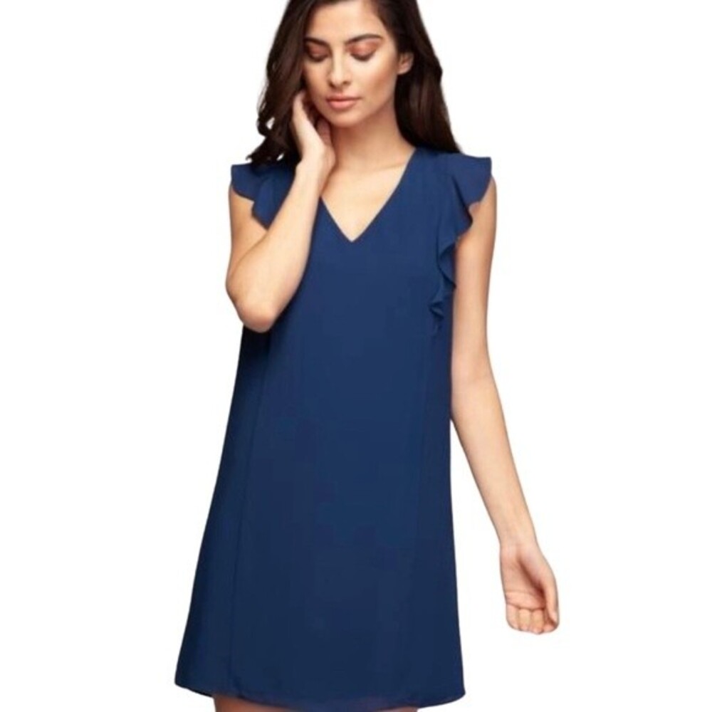 Naked Zebra navy blue ruffle chiffon shift dress size small